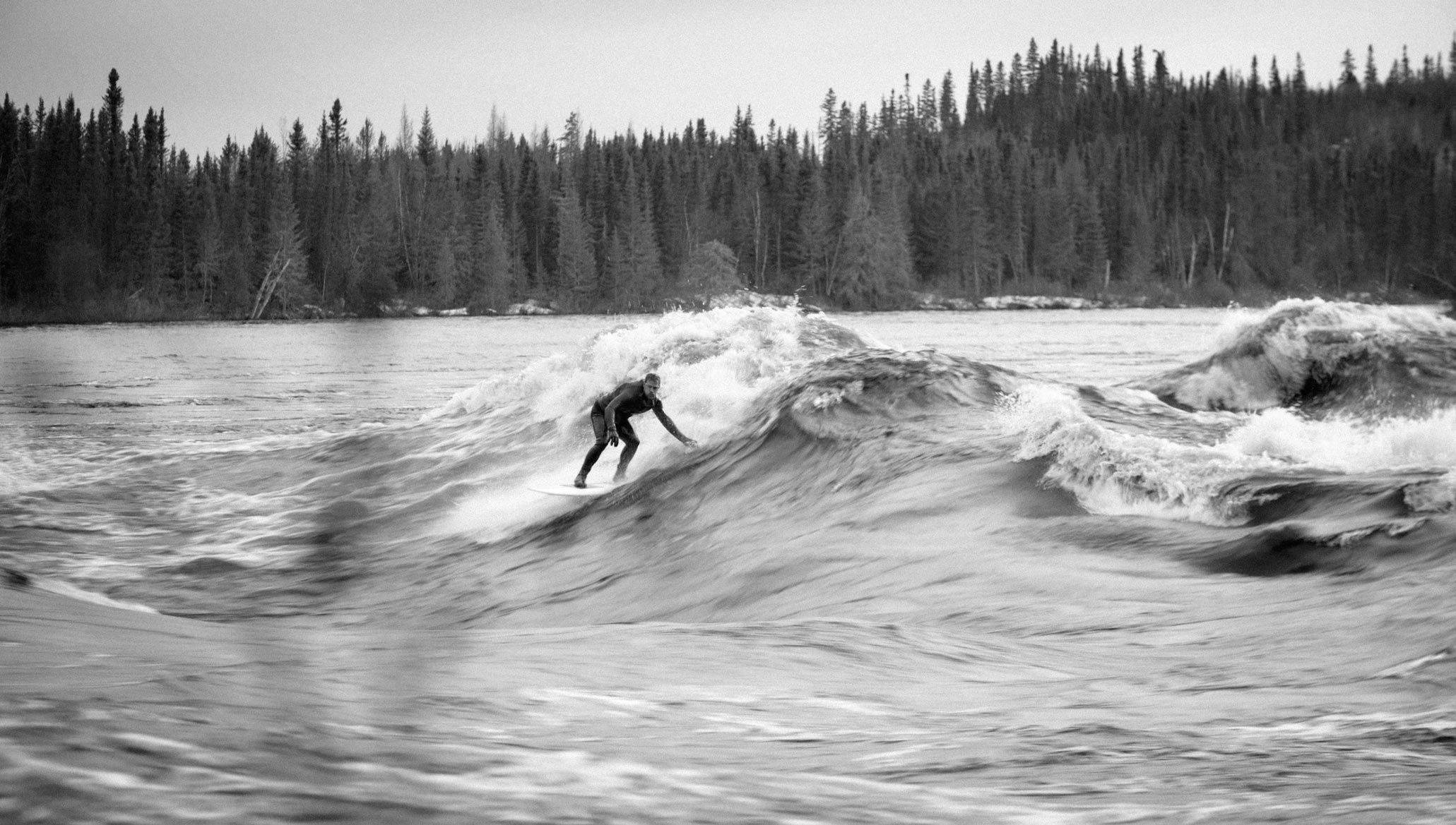 The Wave We Choose