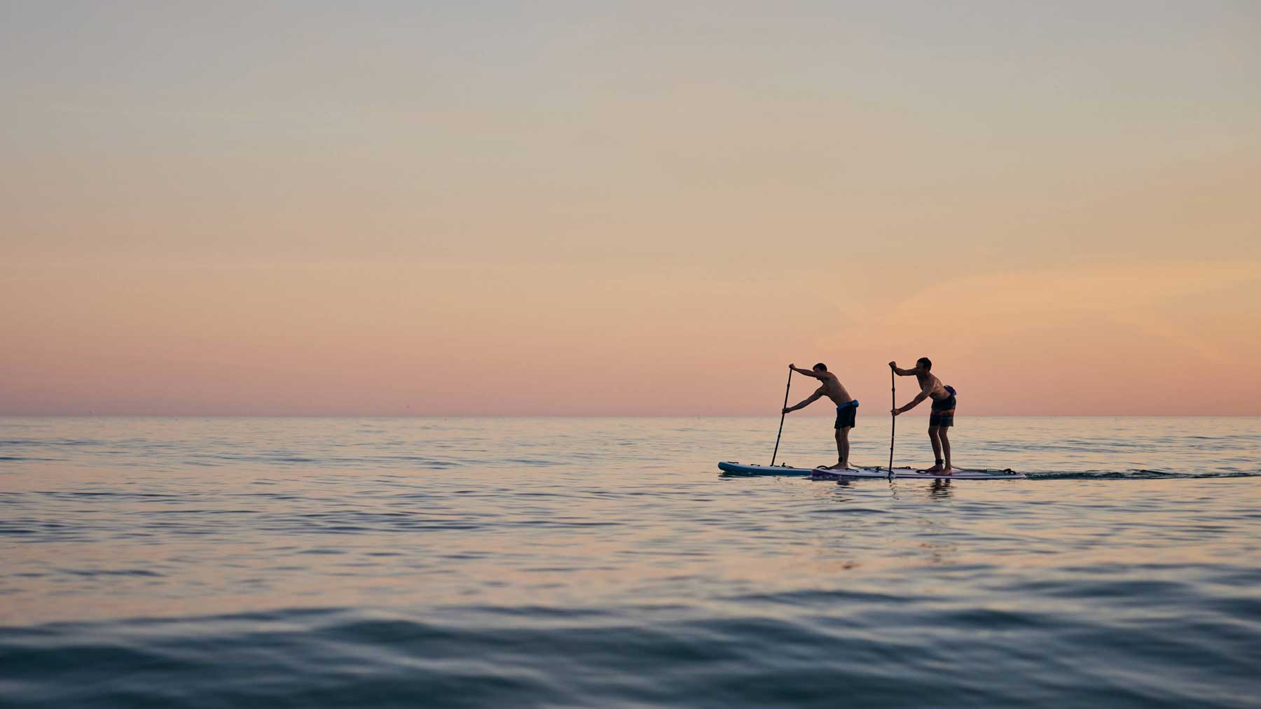 Paddleboards